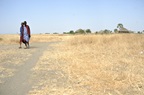 Two young boys walking in fields in Tanzania