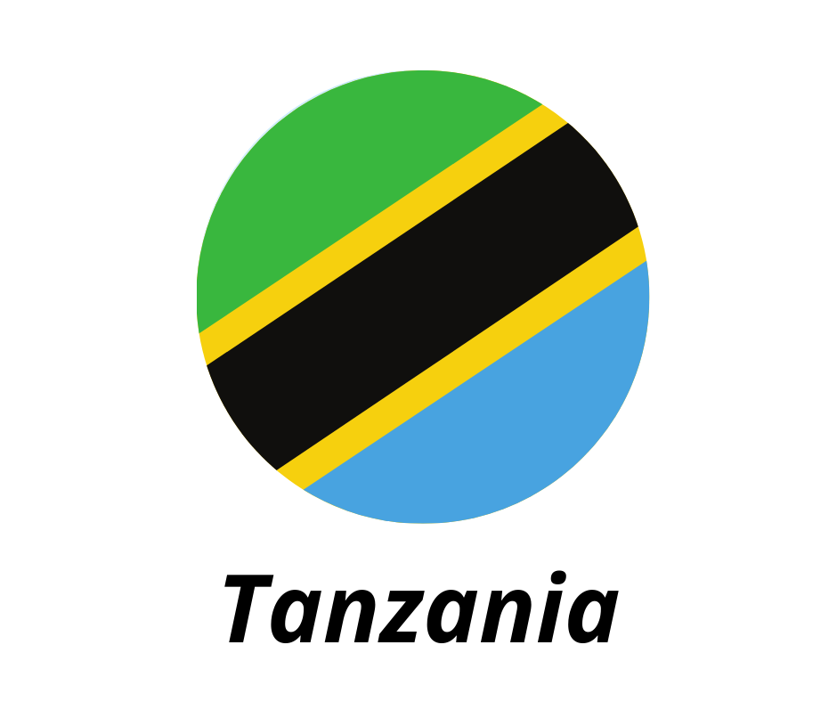 Tanzania flag