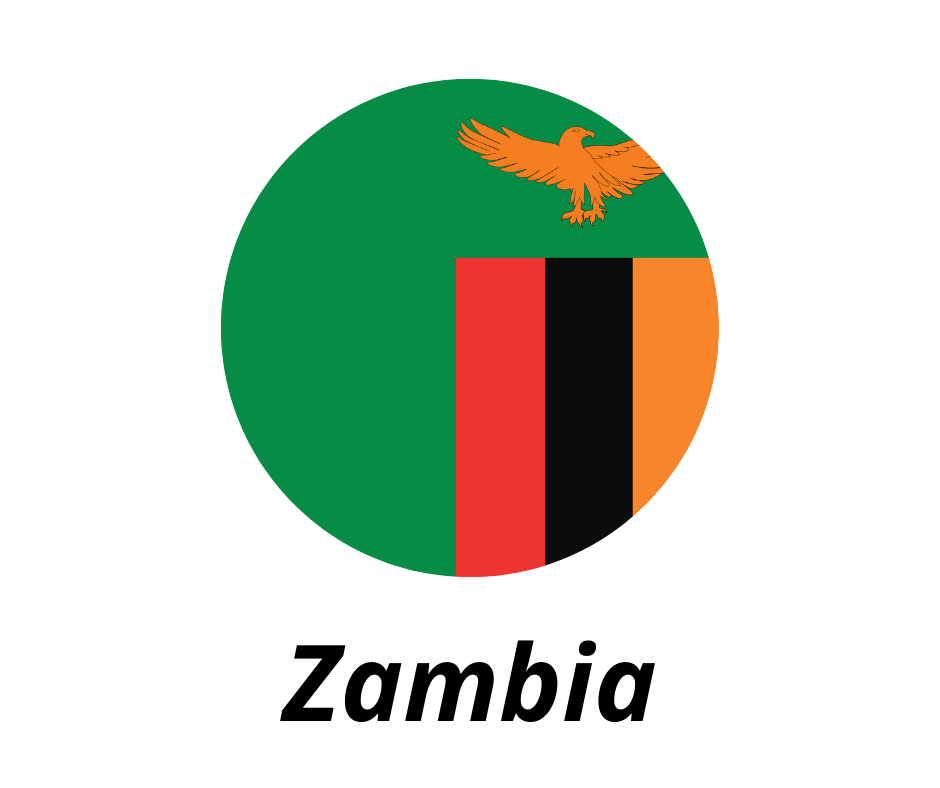 Zambia flag
