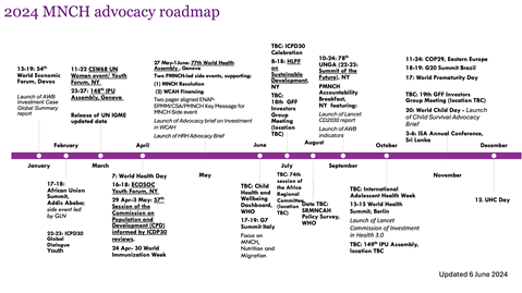 Advocacy roadmap for maternal, newborn and child health