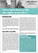 Violence Against Women and Girls - Data Collection during COVID-19