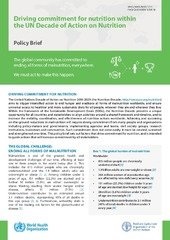 Driving commitment for nutrition: WHO & partners policy brief