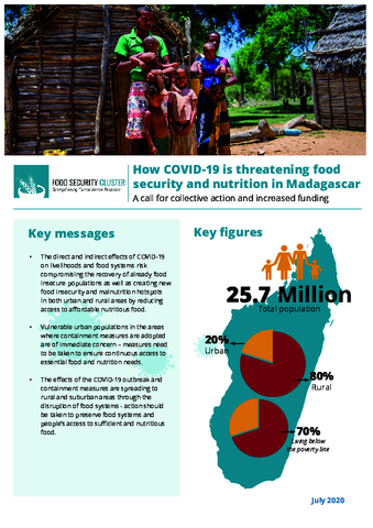 How COVID-19 is threatening food security and nutrition in Madagascar: a call for collective action and increased funding
