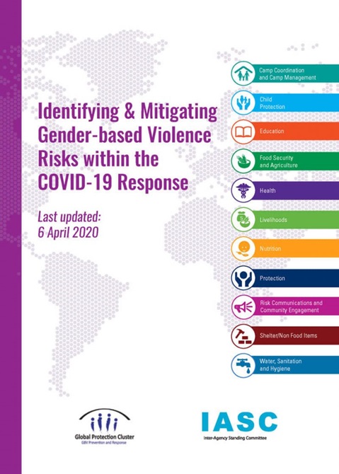 Identifying and mitigating gender-based violence risks within the COVID-19 response