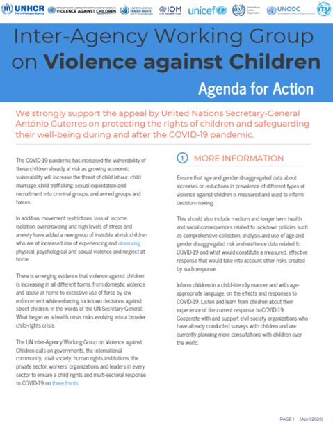 Inter-Agency Working Group on violence against children: agenda for action