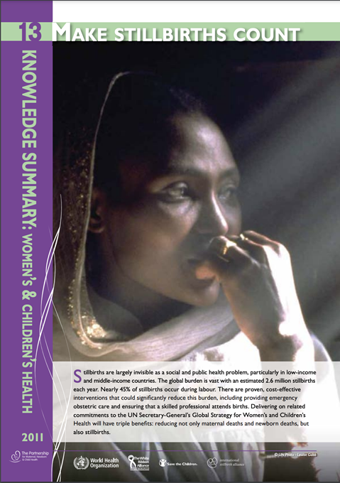 PMNCH Knowledge Summary #13 Make Stillbirths Count