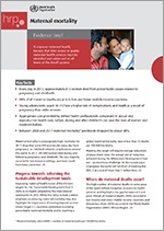 Maternal Mortality WHO Evidence Brief
