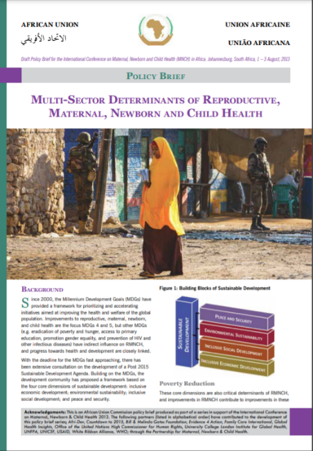 Multi-sector determinants of reproductive, maternal, newborn and child health