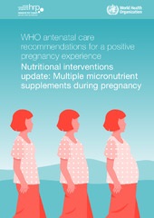 WHO guide on multiple micronutrient supplements during pregnancy
