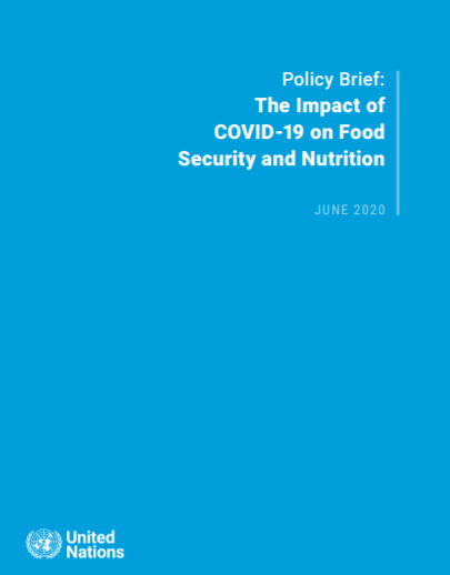 Policy Brief: The Impact of COVID-19 on Food Security and Nutrition