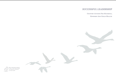 Successful leadership: Country actions for maternal, newborn and child health