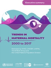 UNFPA and partner report: Trends in Maternal Mortality 2000-2017